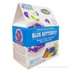 Blue butterfly pea flower tea Clitoria ternatea drink - Image 3