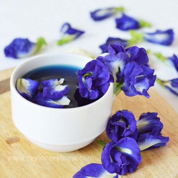 Blue butterfly pea flower tea Clitoria ternatea drink - Image 5